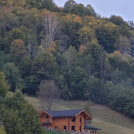 Ralph Cabin- Apuseni Mountains, Transylvania Bucsony